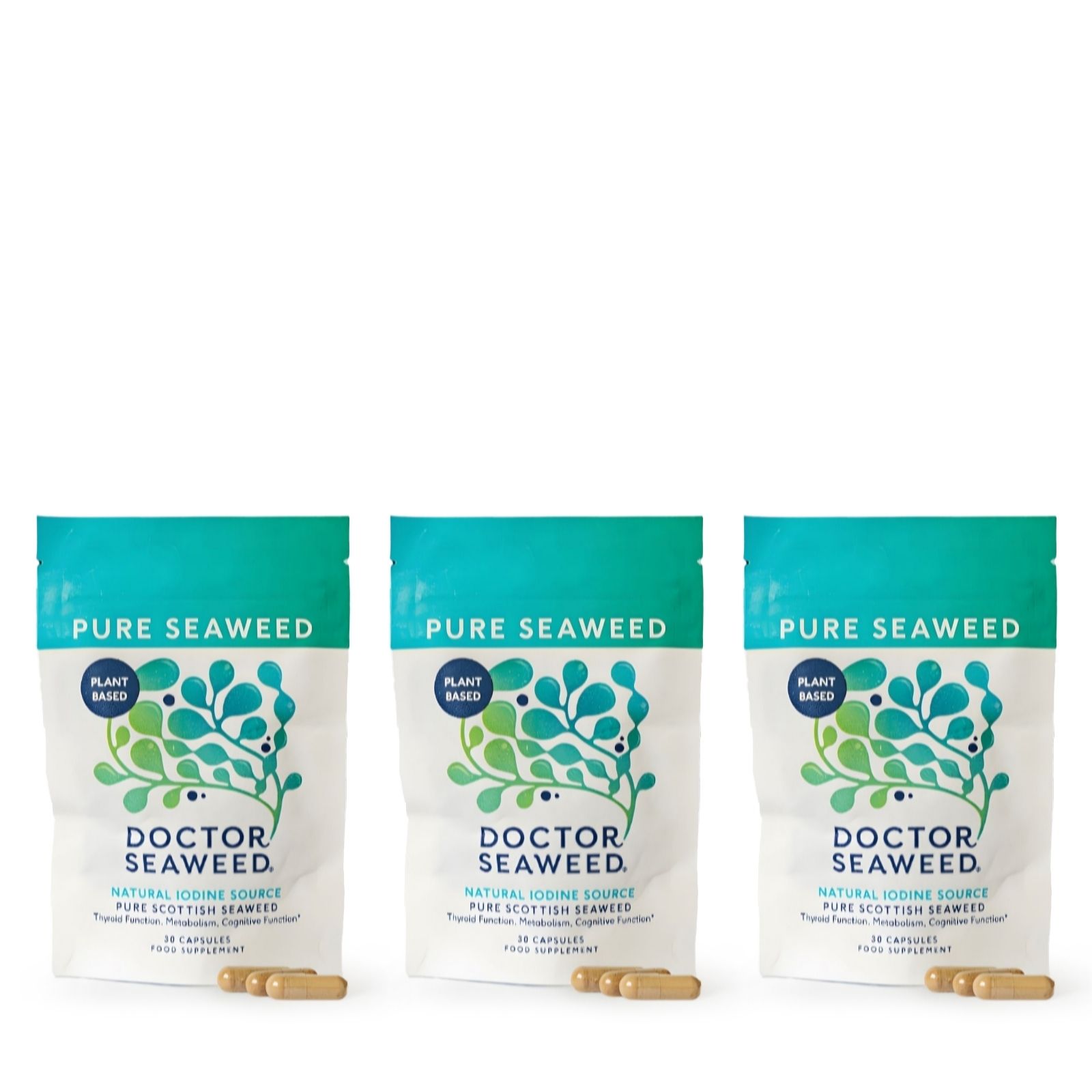 Doctor Seaweed Pure Seaweed 60 Day Supply With Travel Tin - Image 7