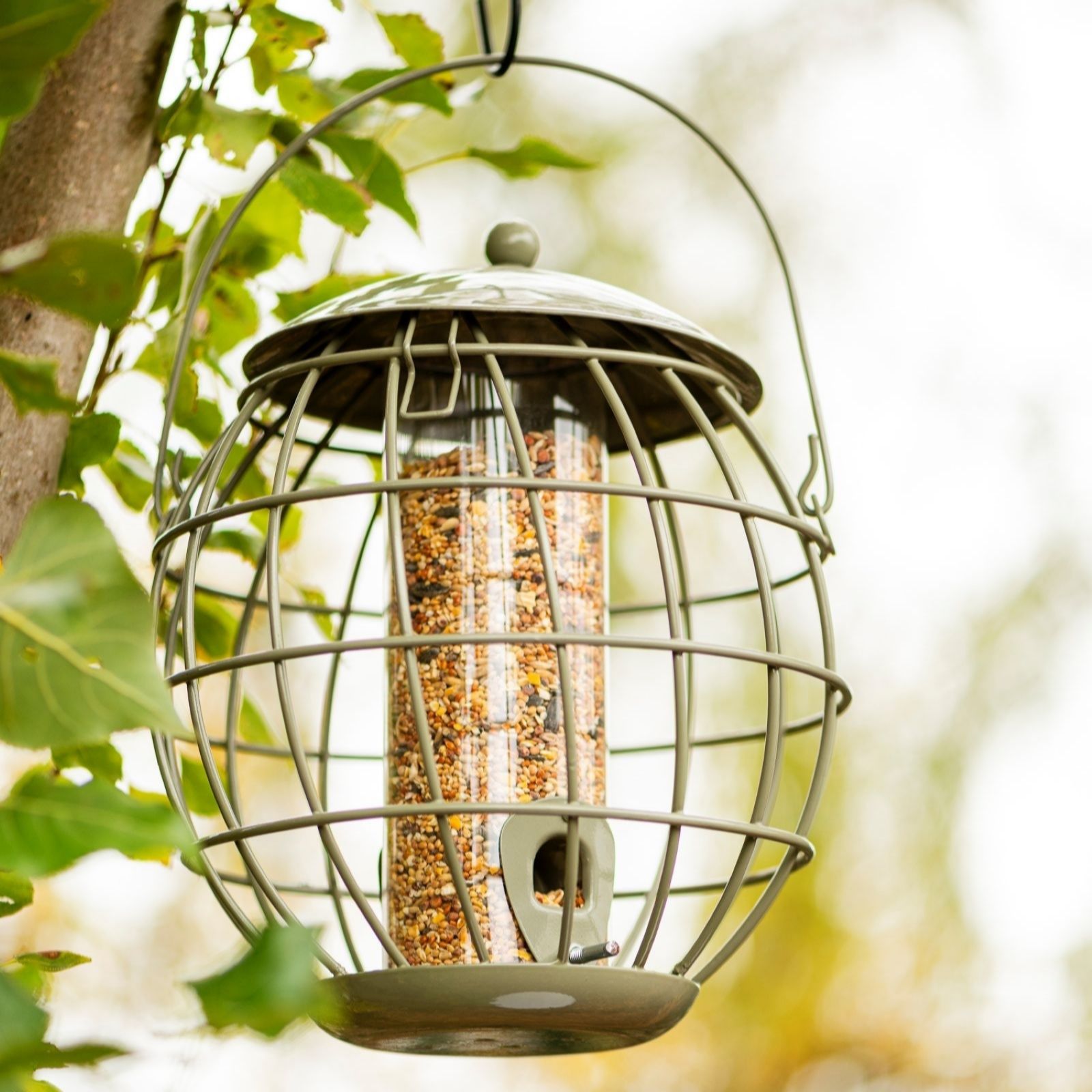 Thompson & Morgan Happy Beaks Orbital Squirrel Proof Seed Feeder