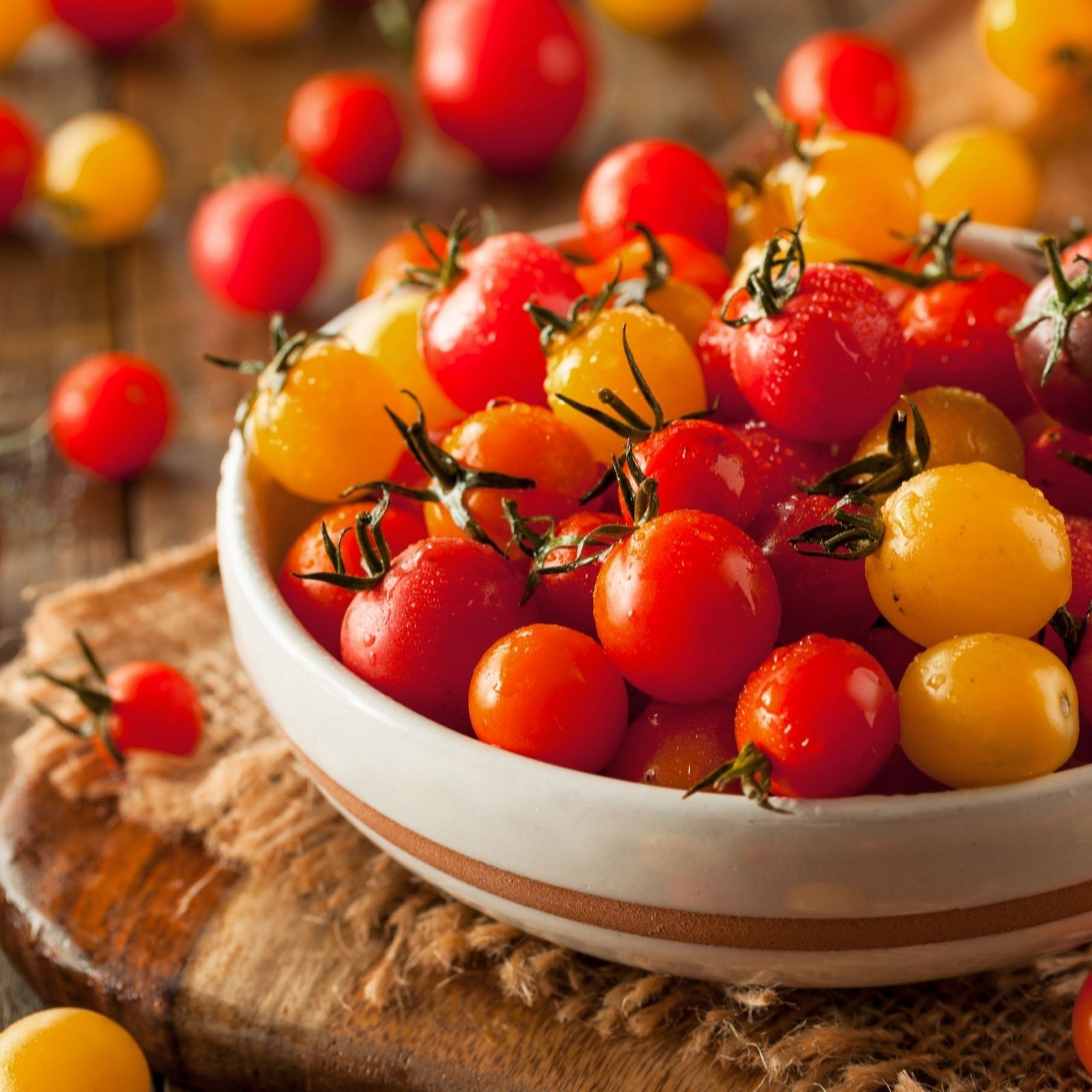 Suttons Red/Gold Tomato Sweet And Sturdy 13Cm Pot X 3