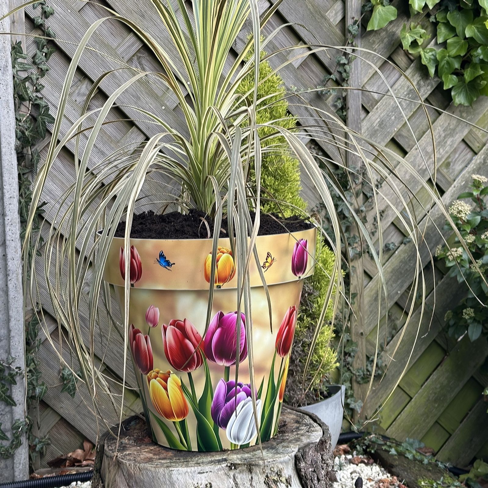 Grumpy Gardener Fiesta Set Of 2 Large 38Cm Printed Planters