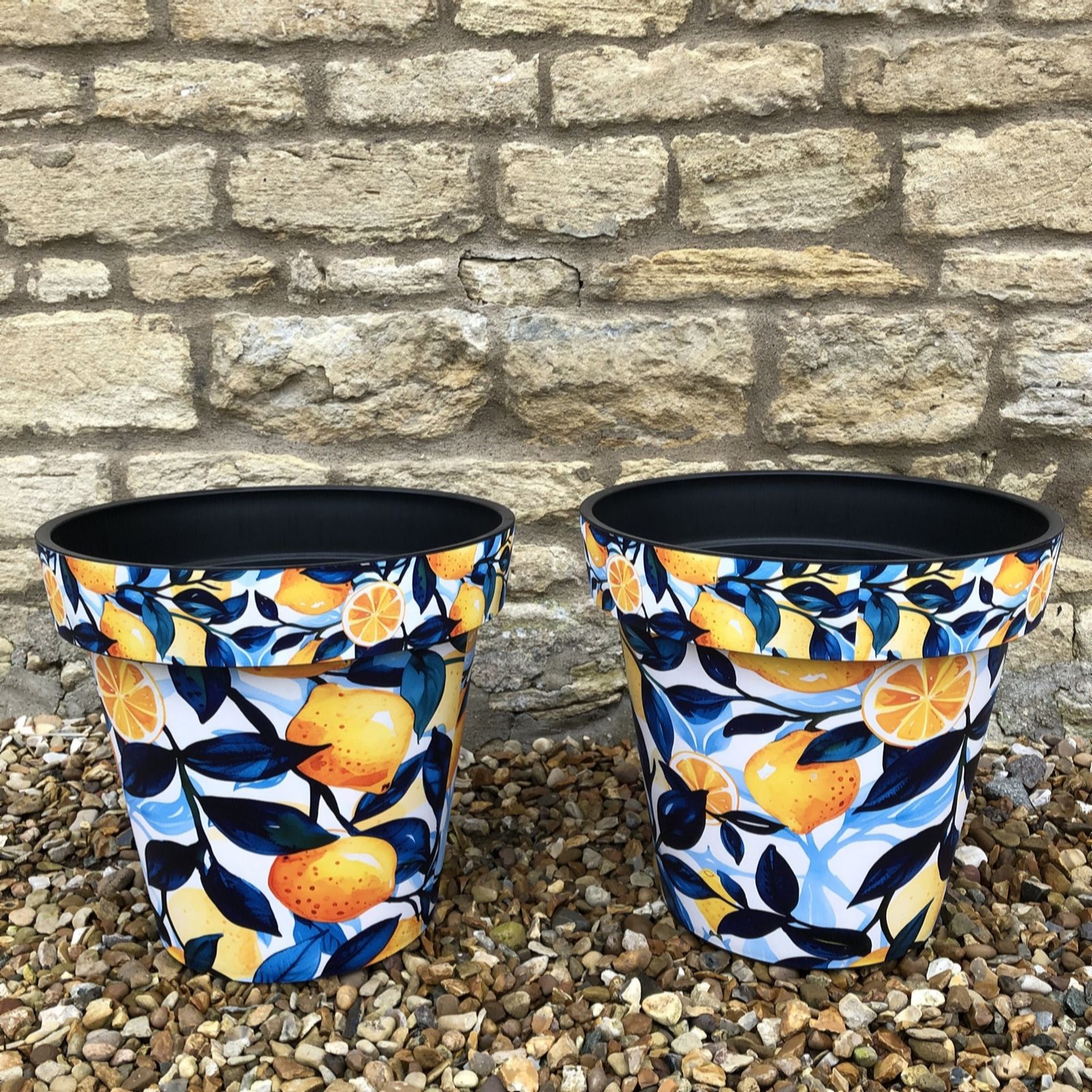 Plants 2 Gardens Plants2gardens Sicillian Planters Pair Large
