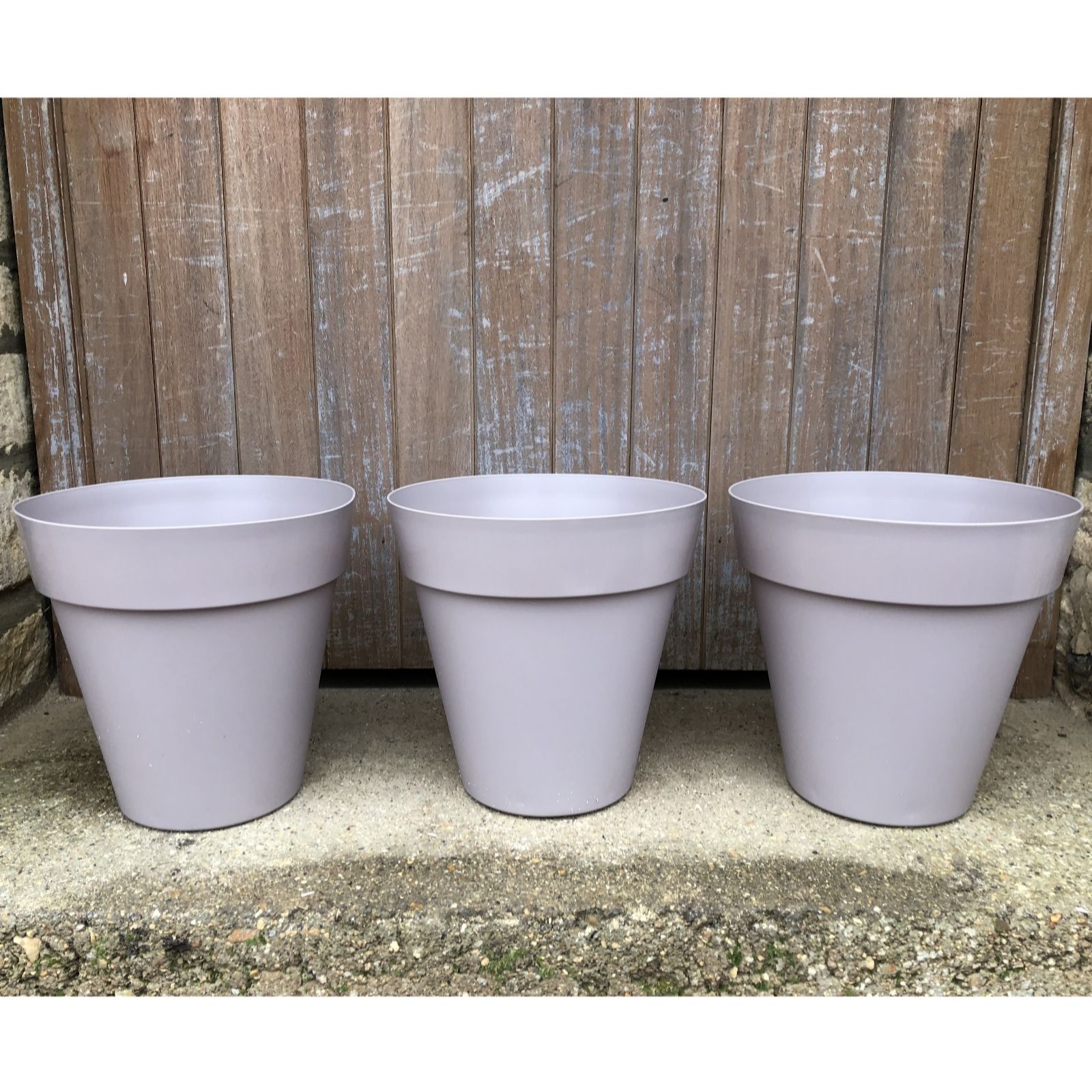 Plants 2 Gardens Avocado Plants2gardens Eden Planters X3