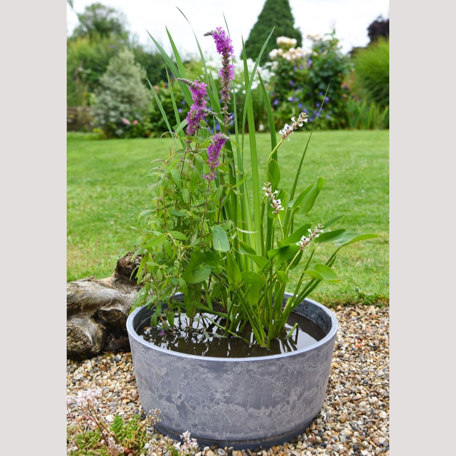 Thompson & Morgan Charcoal Fragrant Patio Pond Kit + Marble Caesar Bowl 46Cm