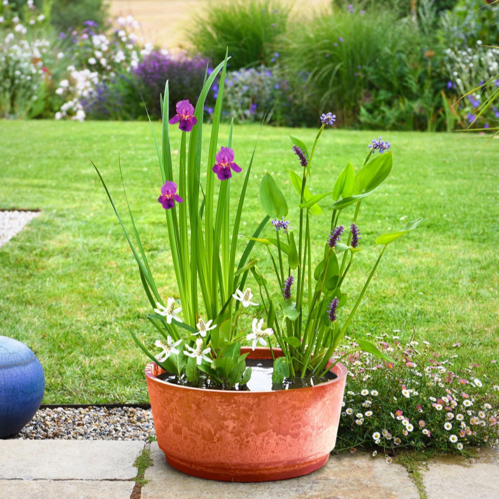Thompson & Morgan Grey Flowering Patio Pond Kit + Marble Caeser Bowl 46Cm