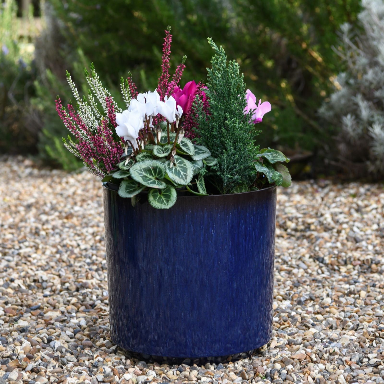 Thompson & Morgan Blue 26Cm Cylinder Glazed Planter