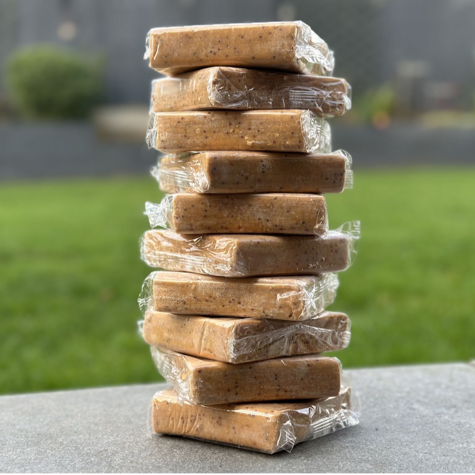 Grumpy Gardener Gold Ten Squirrel-Resistant Suet Cakes