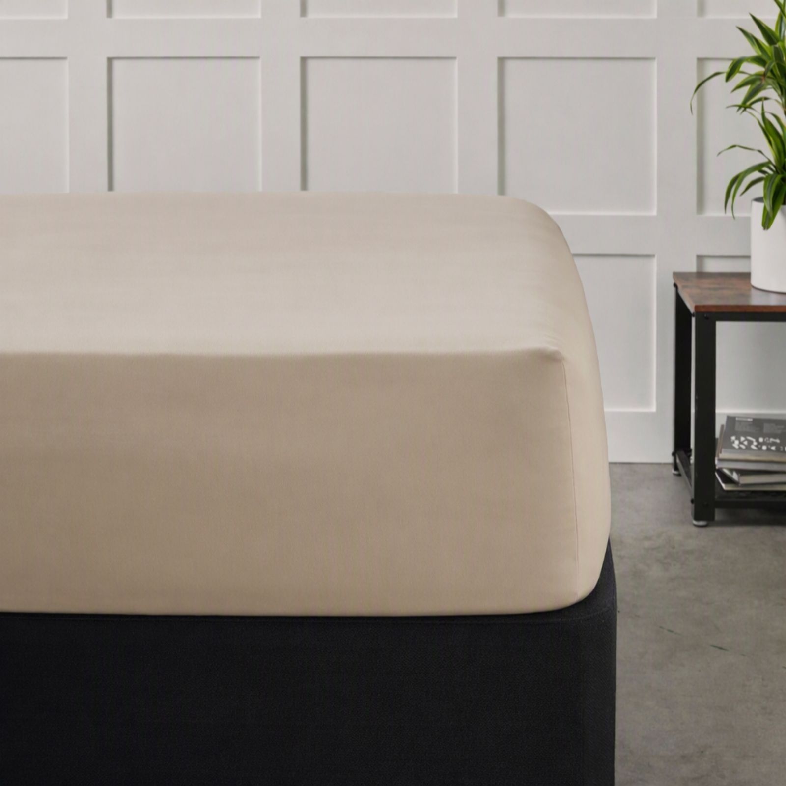 Northern Nights 500TC 100% Egyptian Cotton Fitted Sheet