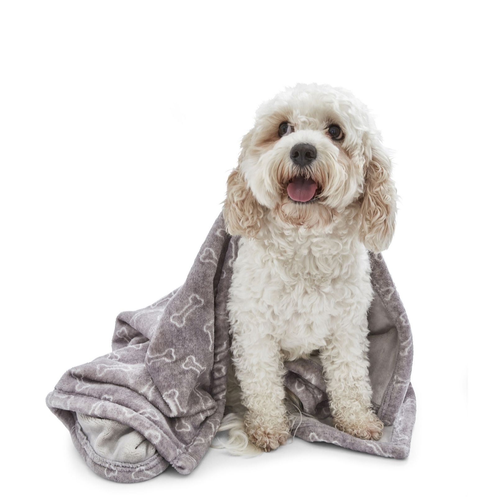 Silentnight Waterproof Pet Blanket - QVC UK