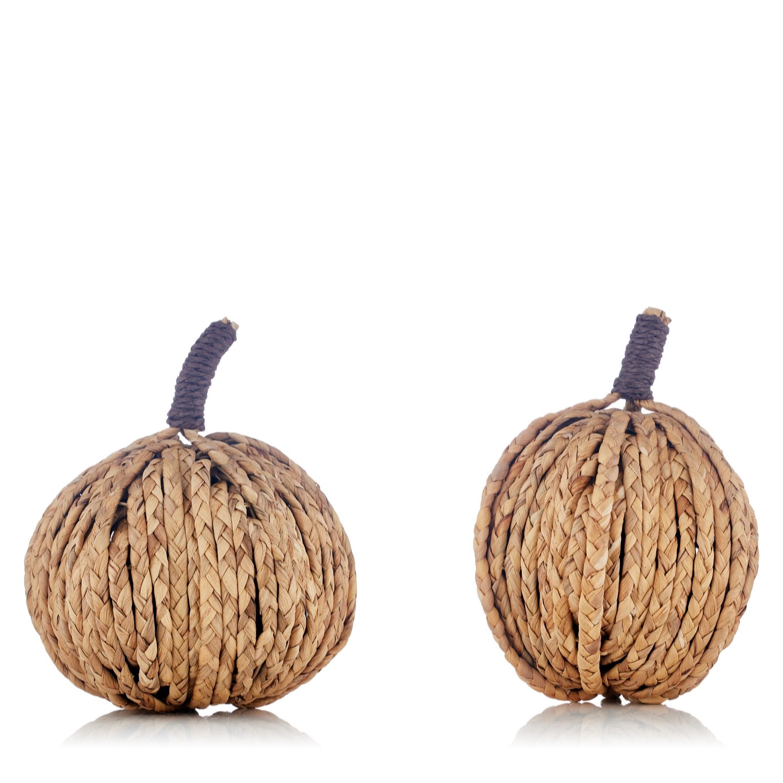Sara by Sara Davies Set of 2 Natural Pumpkins