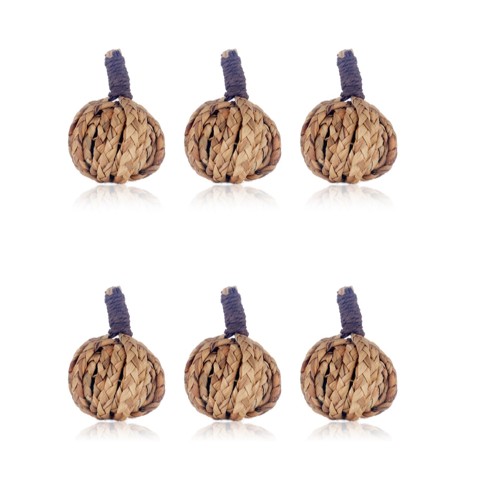 Outlet S By Sara Davies Set of 6 Mini Natural Pumpkins