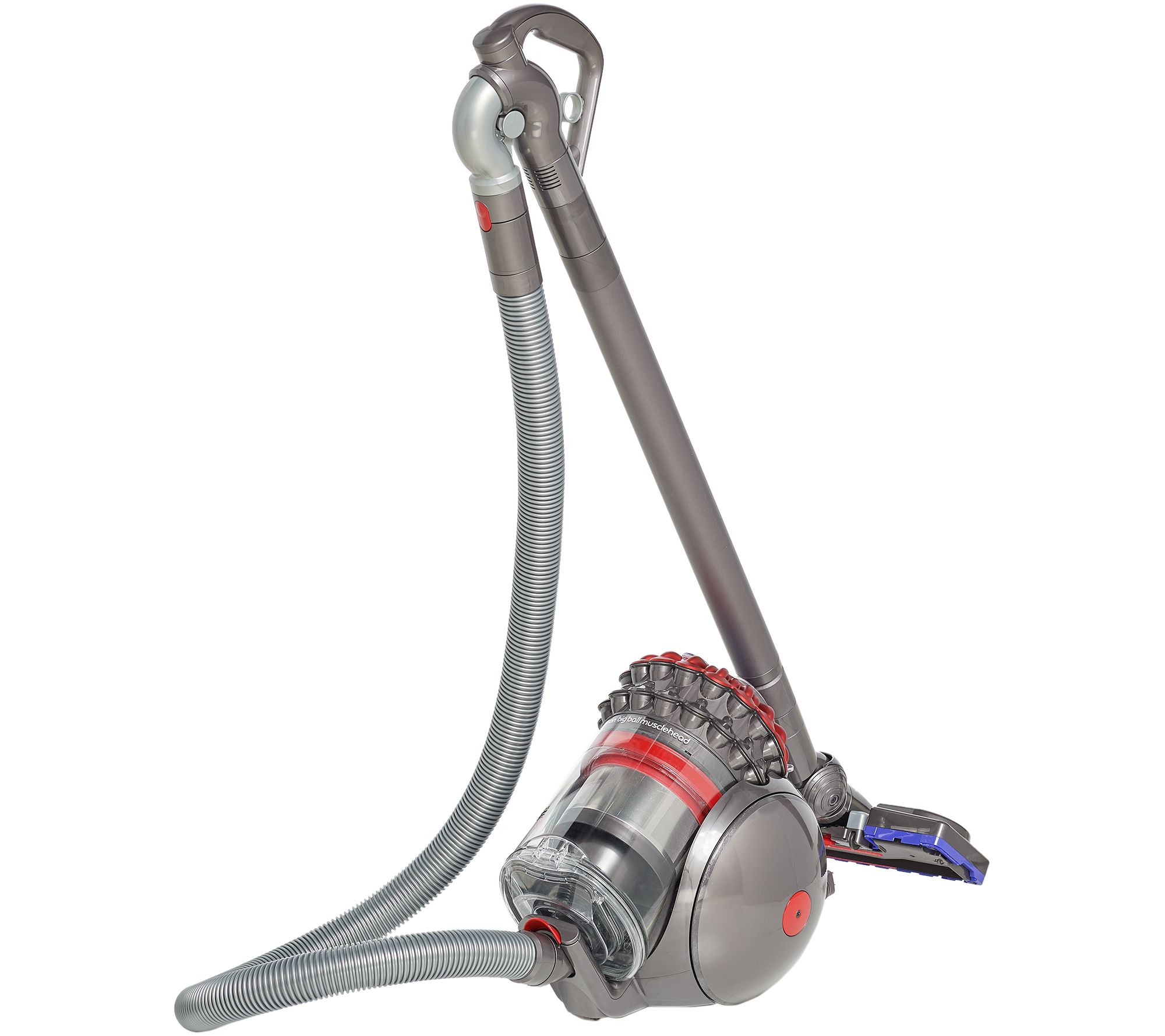 dyson big ball musclehead vacuum